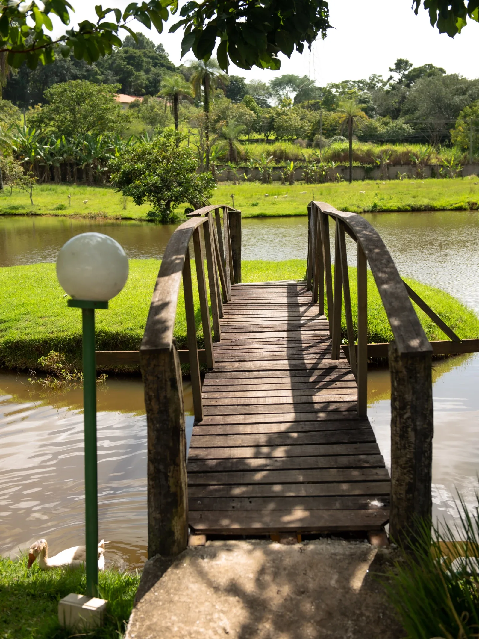 Passarela sobre a lagoa